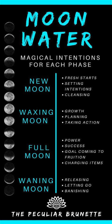 Manifesting your Desires: The Witchy Full Moon's Role in Co-Creation
